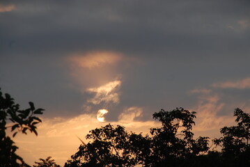 Dawn in nature. Early morning the sun has risen slightly above the horizon and illuminates everything around. Silhouettes of growing trees and bushes are visible against the background of the sun.