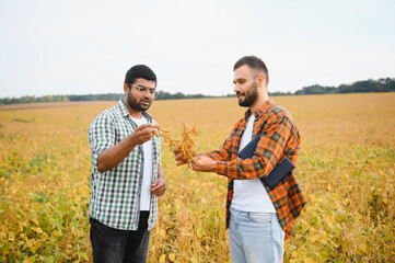 Portrait of two farmers in a soy field