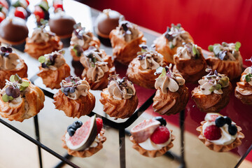 Assorted gourmet appetizers and desserts on display, luxury events, catering, and celebrations