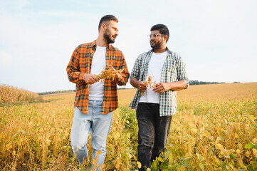 two business farmers walk through field with soybeans, talking about technology growing products