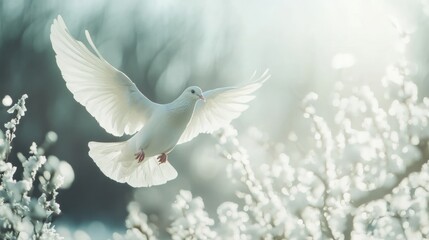 A white dove in flight amidst soft, blurred blossoms, symbolizing peace and purity.