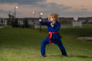 Little karate fighter. Kid boy practicing sport outdoor. Sport karate kids fighter. Little boy wearing kimono doing karate fight in park. Child sport fighting. Little karate fighter. Child sport.