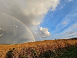 rainbow over the field