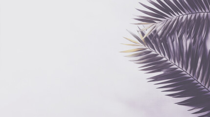 A single palm frond, in shades of grey and yellow, against a white background.