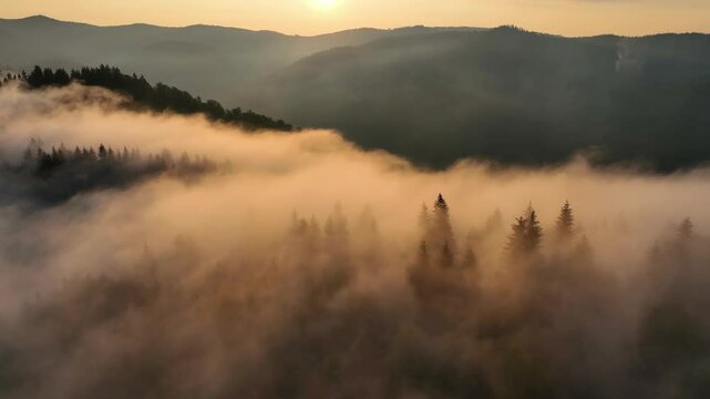 Misty Sunset Over Forested Hills - Drone Moving Left Paltinu Suceava. Slow motion