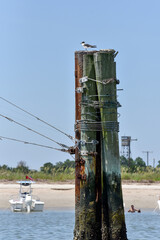 Utility Hardware in Coastal Environment