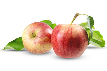 Red gala apples harvest on white background isolate