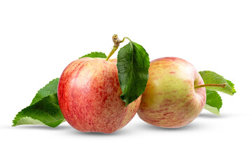 Red Gala Apples Harvest with Green Leaves Isolate