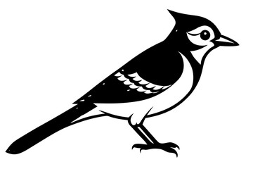 Blue Jay silhouette vector illustration