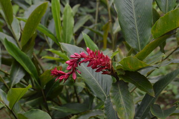 Photographs of a beginner