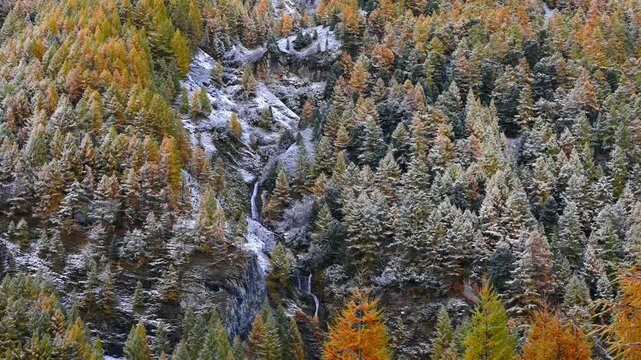 Waterfall in autumn forest. Beauty in nature.  Real time.