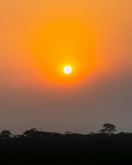 Fototapeta premium sunset in the sky