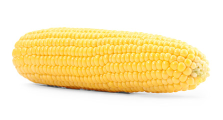 One fresh ripe corncob isolated on white