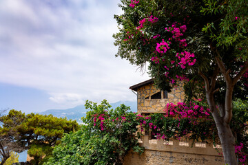 Stone house with beautiful flowering bush against blue sky. Southern Mediterranean landscape, Alanya, Turkey.High quality photo