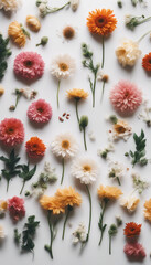 Flowers in a flat lay top view Isolated on a white background vertical
