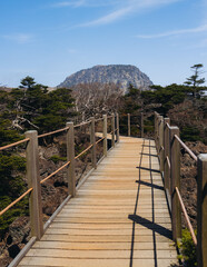 Hallasan National Park, Jeju island, South Korea, spring landscape view of Yeongsil trail, Halla volcano peak, trekking and climbing to Halla mountain, travel and hiking in Korea, Jeju-do, sunny day