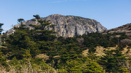 Hallasan National Park, Jeju island, South Korea, spring landscape view of Yeongsil trail, Halla volcano peak, trekking and climbing to Halla mountain, travel and hiking in Korea, Jeju-do, sunny day