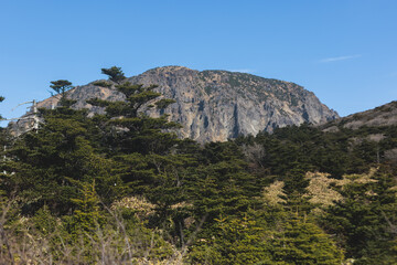 Hallasan National Park, Jeju island, South Korea, spring landscape view of Yeongsil trail, Halla volcano peak, trekking and climbing to Halla mountain, travel and hiking in Korea, Jeju-do, sunny day