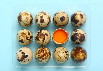 Obraz premium Plastic holder with fresh quail eggs on blue background