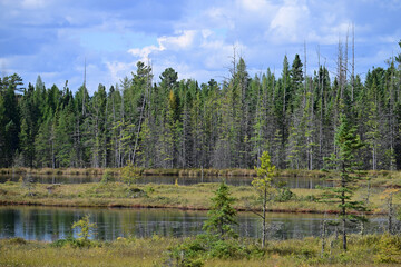 Landscape of West Rose Lake on Mizzy Lake Trail in Algonquin Provoincial Park in Ontario Canada