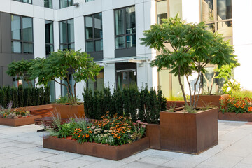 Fototapeta premium Large beds of lush greenery in an urban environment among office buildings at sunset hour in summer. Landscaping, beautiful flowerbeds in urban environment. High quality photo