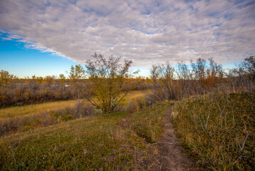 Autumn at Cranberry Flats Conservation Area