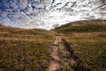 Autumn at Cranberry Flats Conservation Area