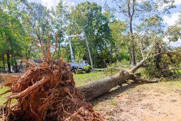 An emergency crew is working to restore power following severe damage caused by violent hurricane