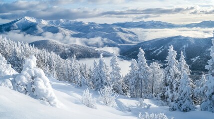 Panoramic view of snow-covered mountain peaks and a forest with clouds in the valleys.