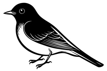 Fototapeta premium Eastern Bluebird silhouette vector illustration