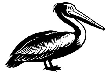 Brown Pelican silhouette vector illustration