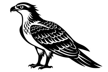 Osprey silhouette vector illustration