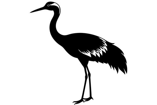 recommend clip art: Sandhill Crane silhouette vector illustration