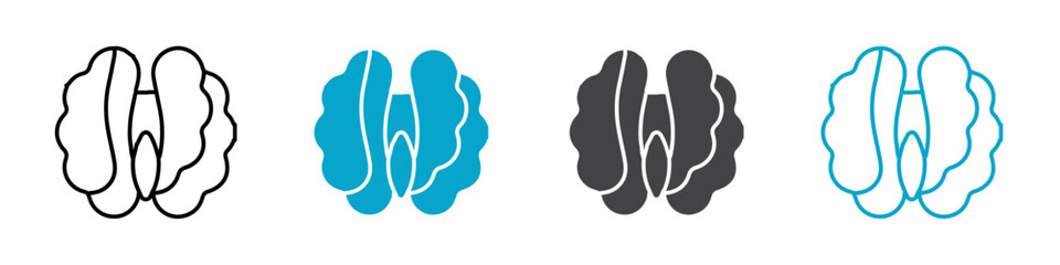 walnut kernel icon Simple vector set isolated