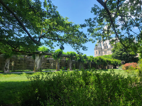 The Biltmore Castle Surrounded by Lush Greenery