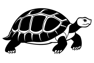 Desert Tortoise silhouette vector illustration
