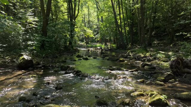 Scenic drone view over a rocky creek in the dense forest. Cinematic view with the mountainous landscape