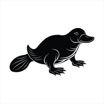 recommend clip art: Platypus silhouette vector