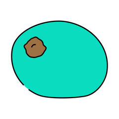 kiwi fruit line icon vector. kiwi fruit sign. isolated symbol illustration