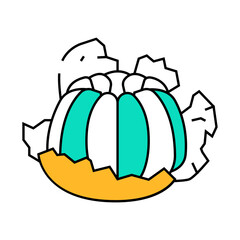 peeled clementine line icon vector. peeled clementine sign. isolated symbol illustration