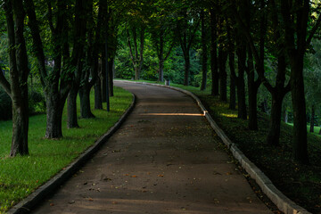 Obraz premium A winding asphalt path through a lush green park, lined with trees on both sides, casting long shadows as the evening sun filters through the branches, with fallen leaves scattered on the ground. 