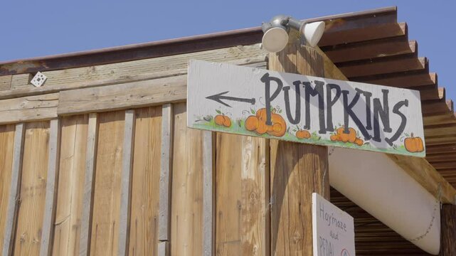 This panning video shows an outdoor hand painted sign that says pumpkin patch and has an arrow directing viewers to the left.
