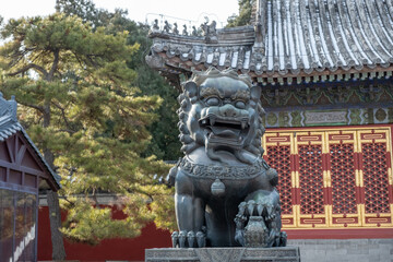 Guardian Lion in Imperial Palace, Standing Proudly in Serenity and Grace, Beijing, China, December 16, 2019