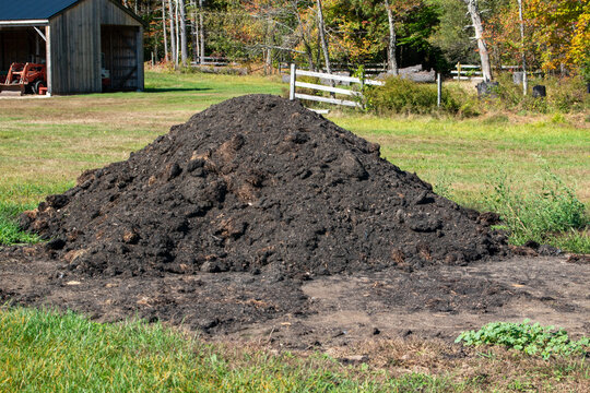 compost pile