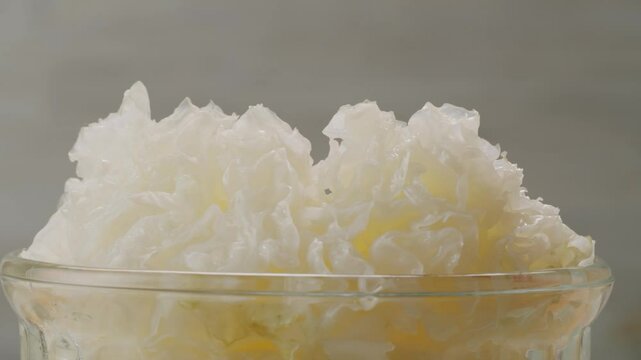 Tremella fermented salted Jamur salju or snow fungus, white colored fungi for food and medicine, popular in China and also Chinese cuisine. 