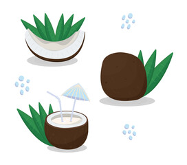 Coconut pieces with leaves, whole palm nut and milkshake, juice cocktail, vector colorful illustration
