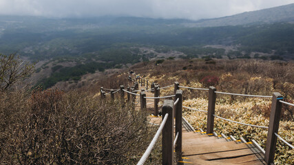 Hallasan National Park, Jeju island, South Korea, spring view of Yeongsil trail with wooden ladder path stairs, trekking and climbing, stairway to Halla mountain, hiking in Korea, Jeju-do, sunny day