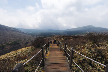 Hallasan National Park, Jeju island, South Korea, spring view of Yeongsil trail with wooden ladder path stairs, trekking and climbing, stairway to Halla mountain, hiking in Korea, Jeju-do, sunny day