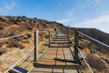 Hallasan National Park, Jeju island, South Korea, spring view of Yeongsil trail with wooden ladder path stairs, trekking and climbing, stairway to Halla mountain, hiking in Korea, Jeju-do, sunny day
