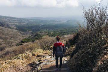 Fototapeta premium Hallasan National Park, Jeju island, South Korea, spring view of Yeongsil trail with wooden ladder path stairs, trekking and climbing, stairway to Halla mountain, hiking in Korea, Jeju-do, sunny day